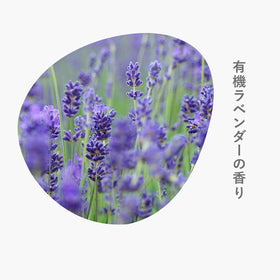 sonett ナチュラルウォッシュリキッド(洗濯用)