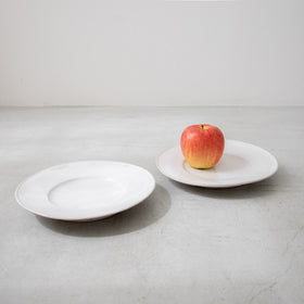 河合竜彦 白釉 玉縁リム皿